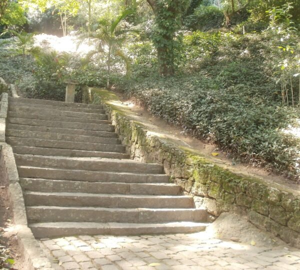Passeio pela Lagoa Rodrigo de Freitas e Parque da Catacumba, Rio de Janeiro
